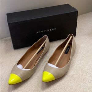 Ann Taylor Elizabeth Pointy Flat